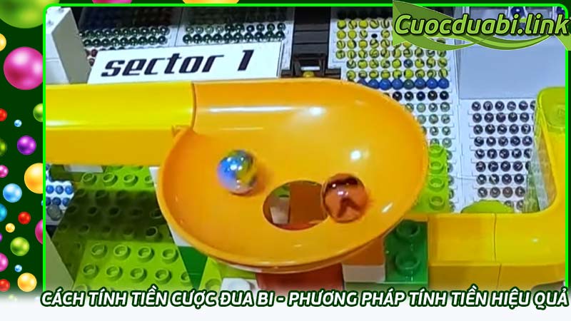 Cách tính tiền cược đua bi - Phương pháp tính tiền hiệu quả