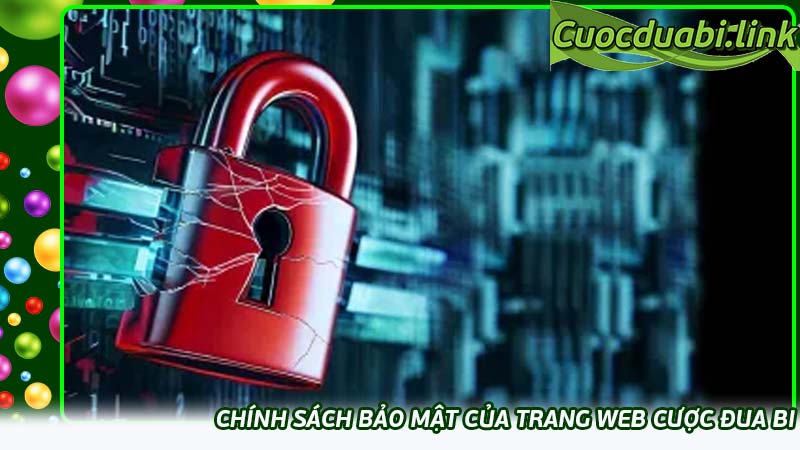 Chính sách bảo mật của trang web cược đua bi