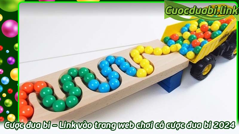 Cược đua bi – Link vào trang web chơi cá cược đua bi 2024