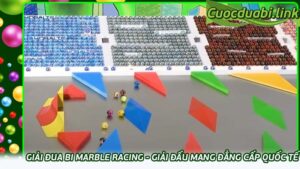 Giải đua bi Marble Racing - Giải đấu mang đẳng cấp quốc tế