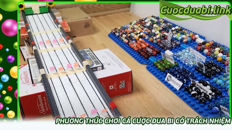 Phương thức chơi cá cược đua bi có trách nhiệm