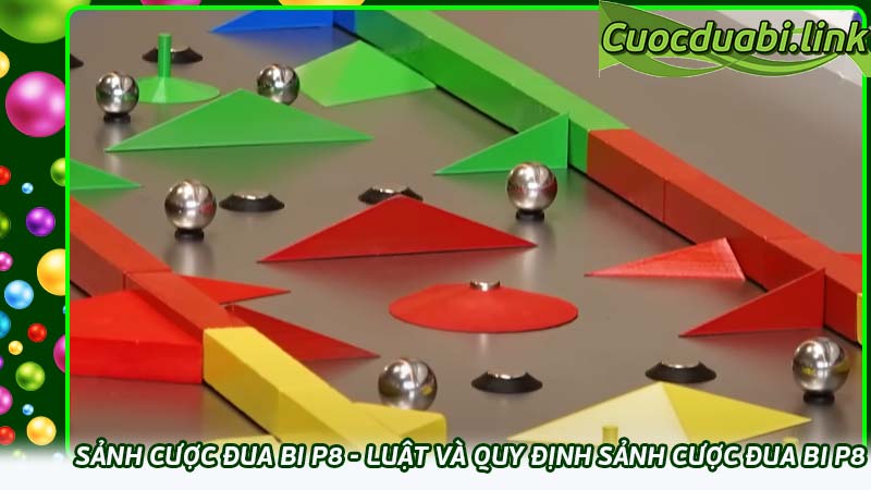 Sảnh cược đua bi P8 - Luật và quy định sảnh cược đua bi P8