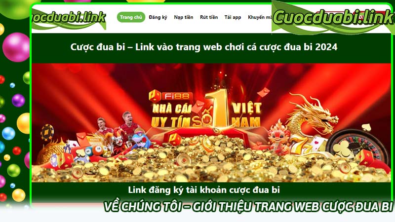 Về chúng tôi – Giới thiệu trang web cược đua bi